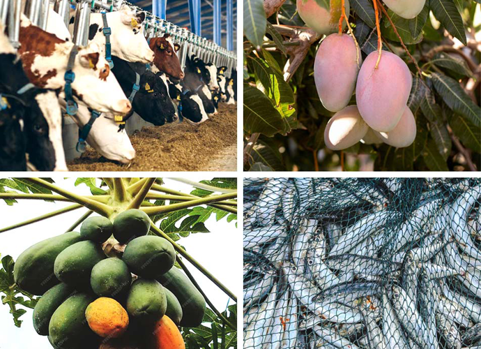 Assure Agro Complex Ltd