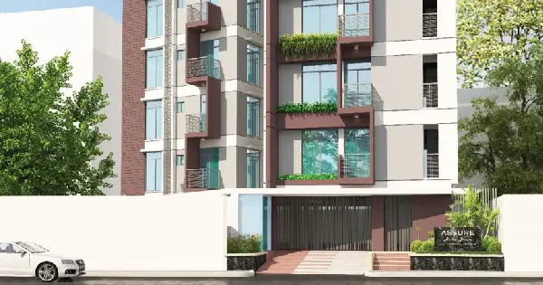 Assure Anita's Dream Concept