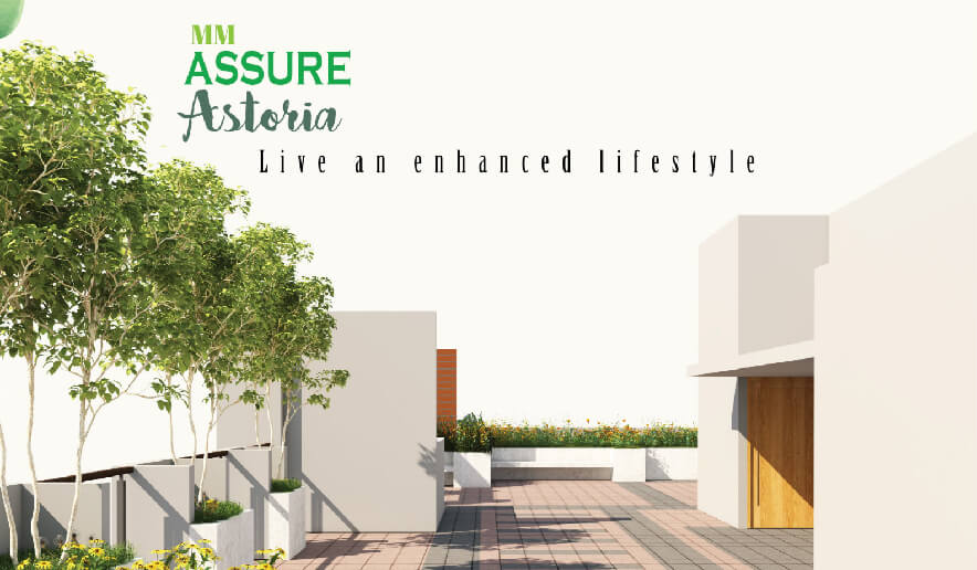 M M Assure Astoria