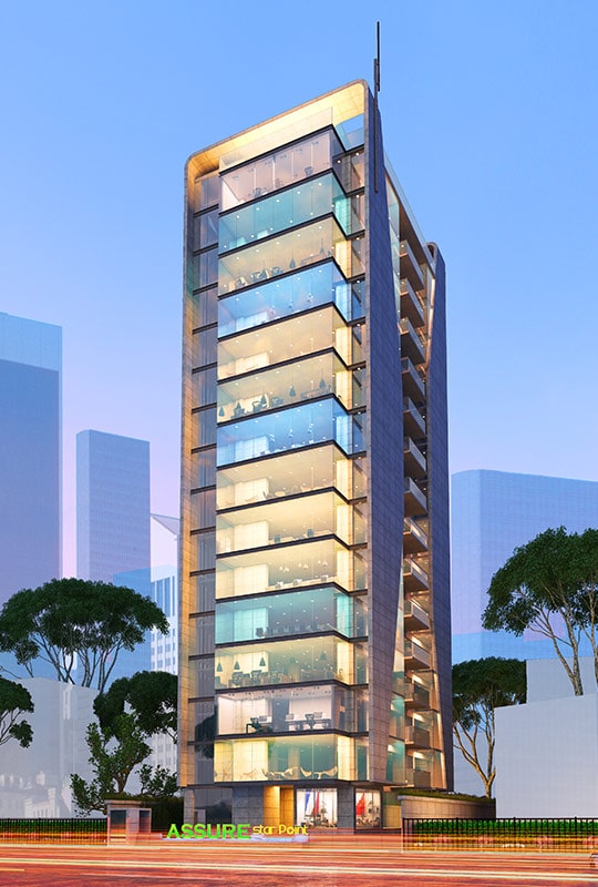 Assure Star Pointa (Overview)